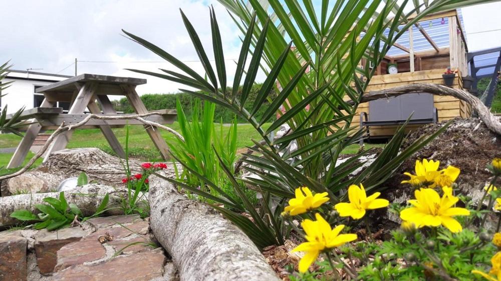 Greenways Valley Holiday Park Great Torrington Exterior foto